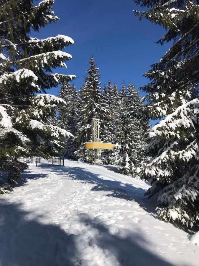 Hotel Novoe Shale يابلونيتسيا المظهر الخارجي الصورة